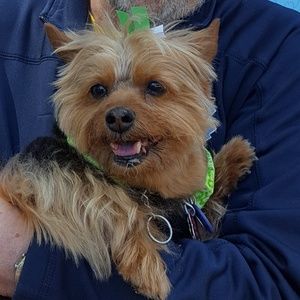 Meet your Posher, Eric